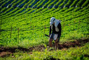 BIB: 
                            <button type="button" onclick="openModal(19160461)" class="btn btn-primary btn-sm float-right btn-popup" data-toggle="modal" data-target=".modal-high-quality">
                        <i class="fas fa-shopping-cart"></i> Add to Cart
                    </button>
                                            <button type="button" onclick="isThisMe(19160461, true)" class="btn btn-success btn-sm float-right btn-popup btn-isme hidden" data-toggle="tooltip" data-placement="bottom" title="นี่คือรูปของคุณใช่ไหม คลิกที่นี่เพื่อเอาเข้าอัลบั้ม">
                        <i class="fas fa-plus"></i> Add to album
                    </button>
                    <button type="button" onclick="isThisMe(19160461, false)" class="btn btn-warning btn-sm float-right btn-popup btn-isnotme hidden">
                        <i class="fas fa-ban"></i> Remove from album
                    </button>